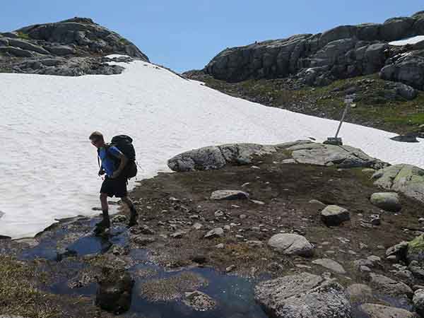 Image description