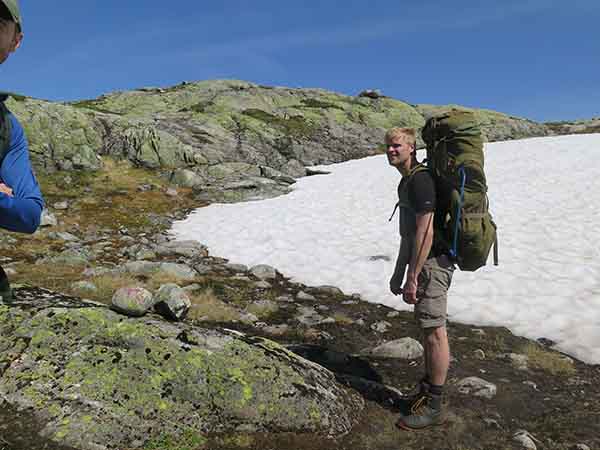 Image description