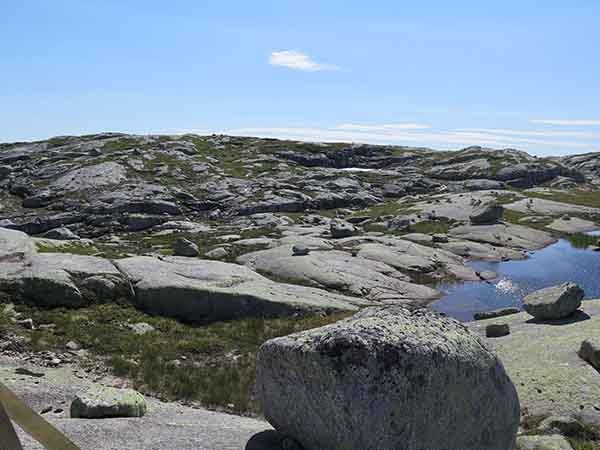 Image description