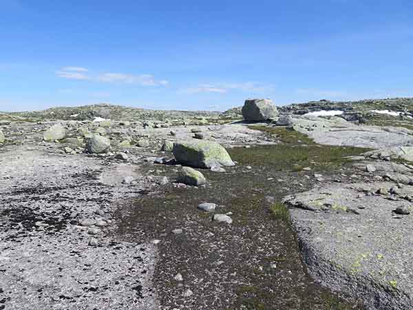 Image description
