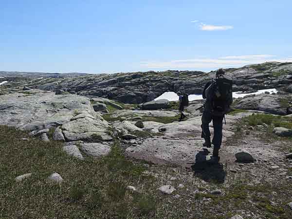 Image description