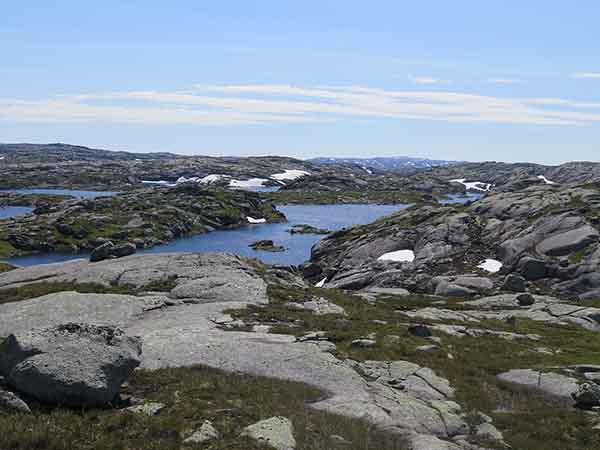 Image description