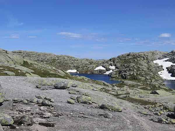 Image description