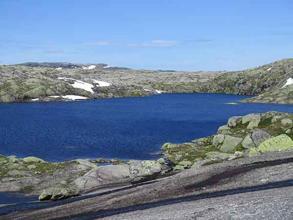 Image description