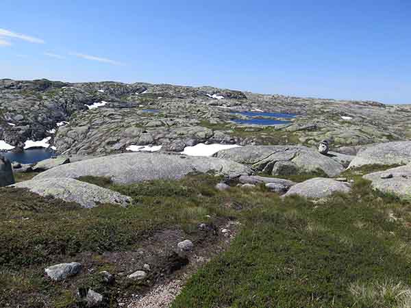 Image description