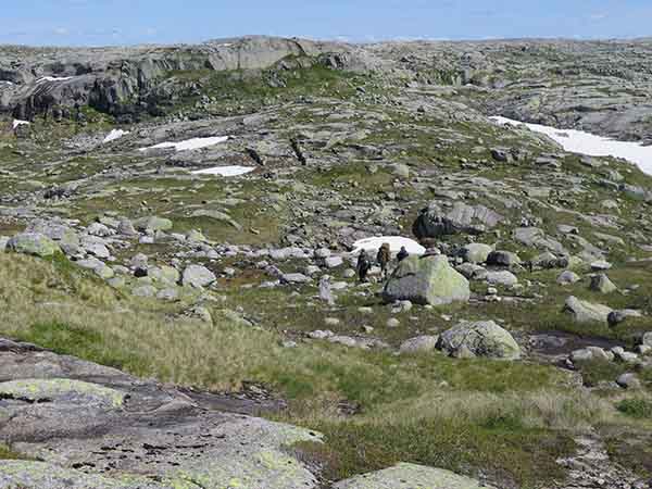 Image description