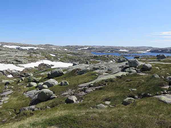 Image description