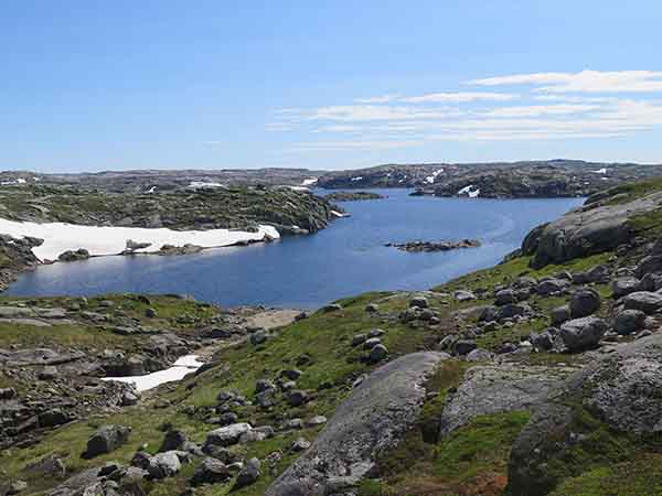 Image description