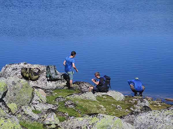 Image description