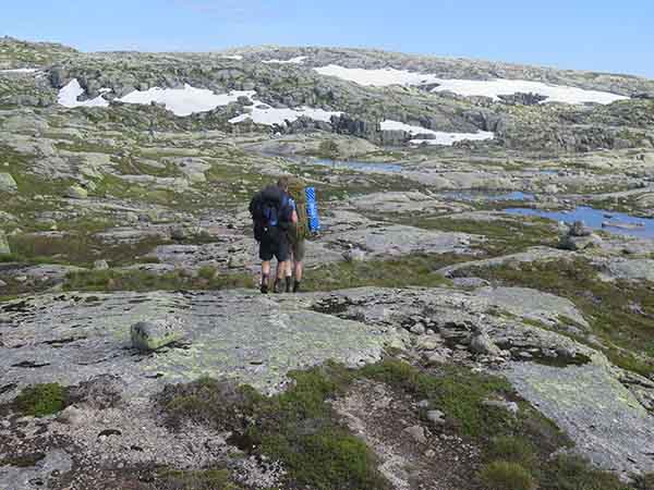 Image description