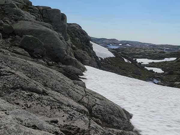 Image description