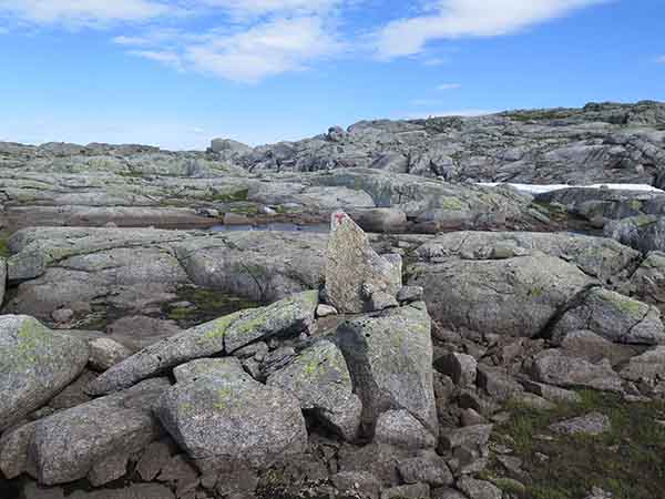 Image description