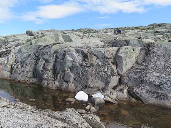 Image description