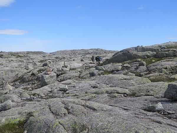 Image description