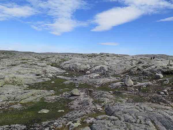 Image description
