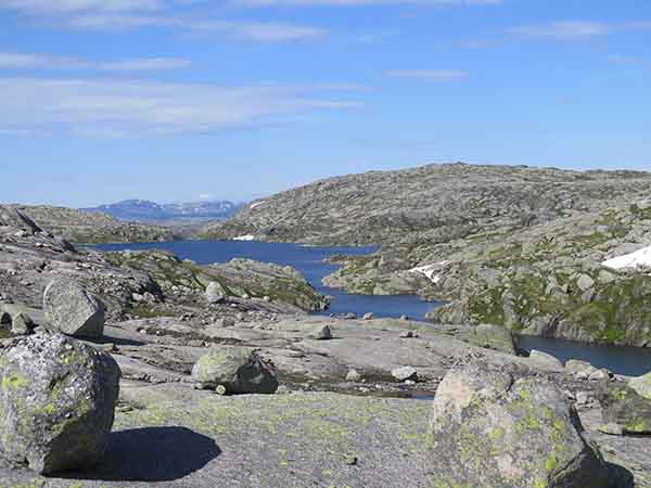 Image description
