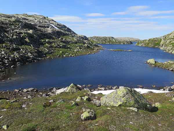 Image description