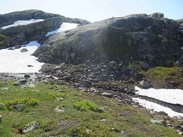 Image description