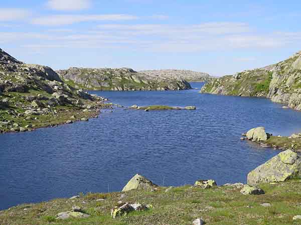 Image description