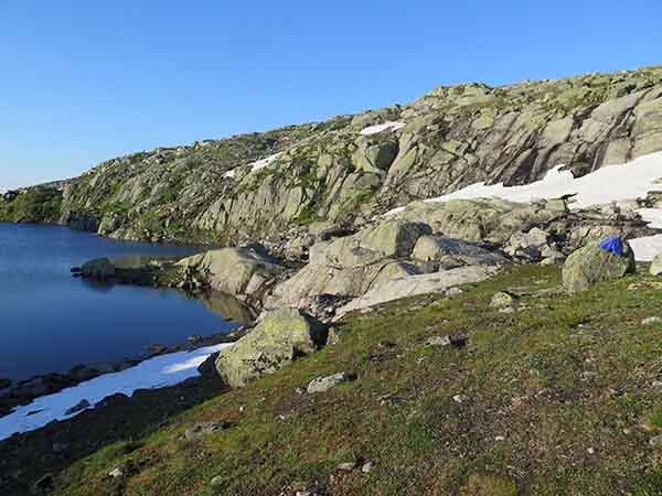 Image description