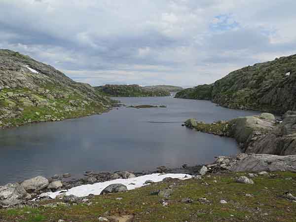 Image description
