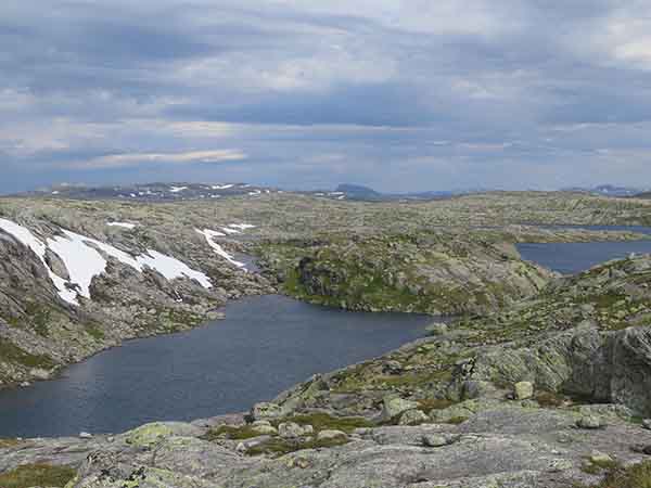 Image description