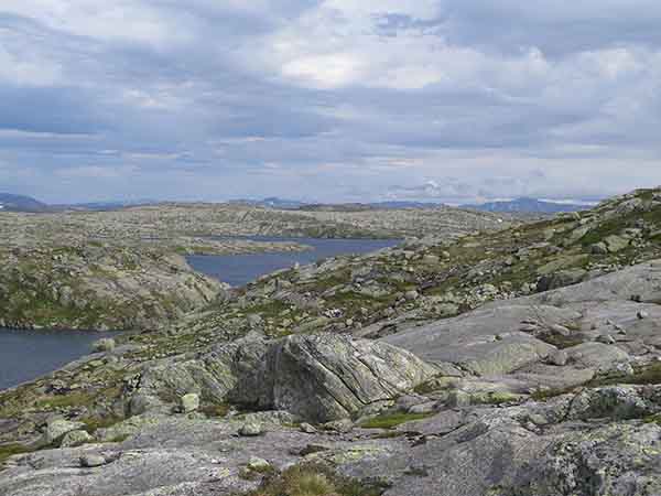 Image description