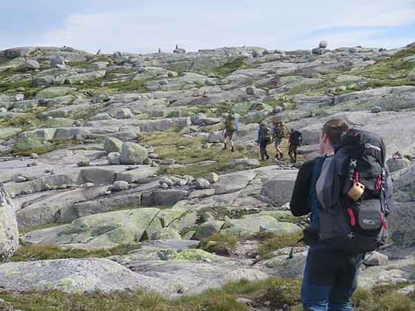 Image description