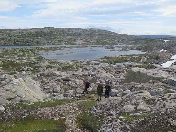 Image description