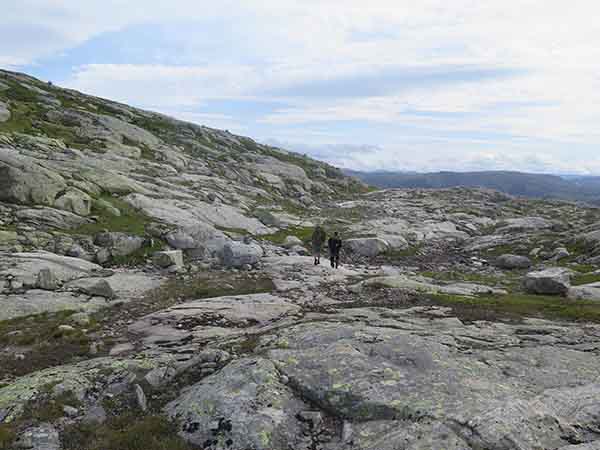 Image description
