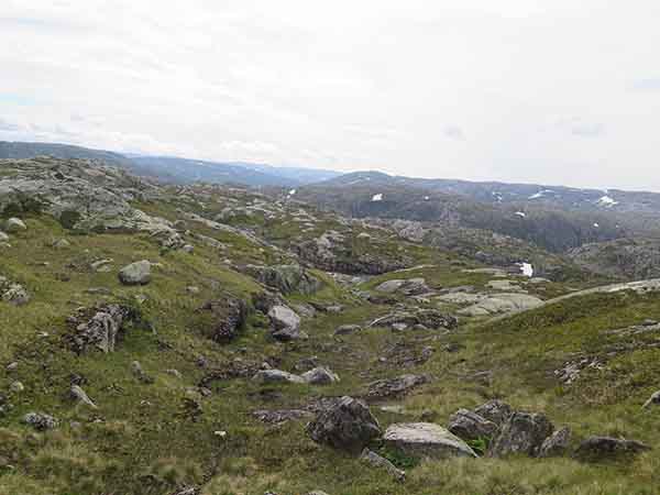 Image description