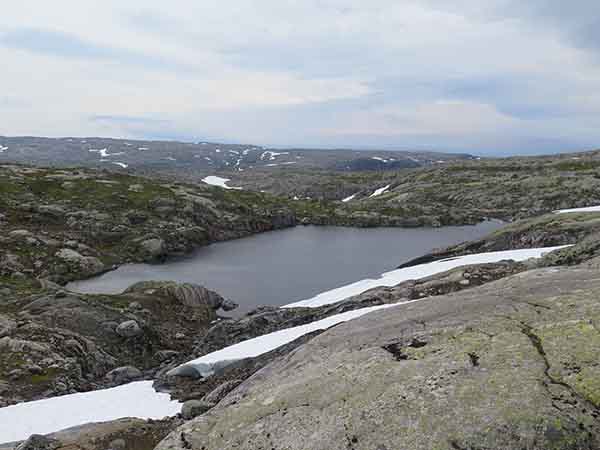Image description
