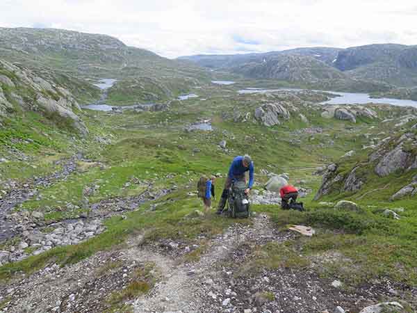 Image description