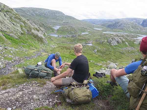 Image description
