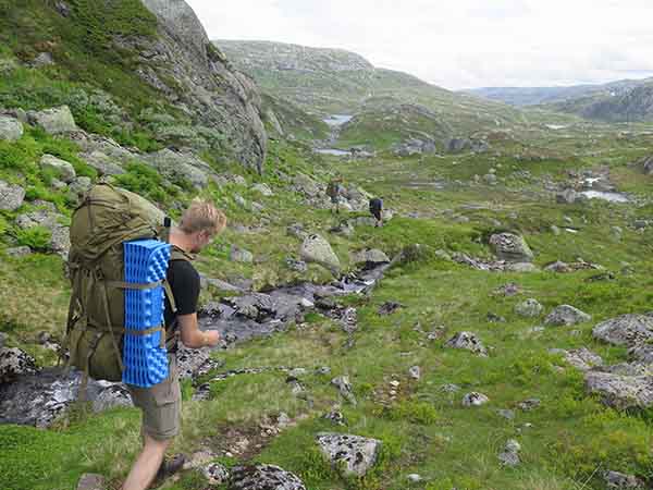 Image description