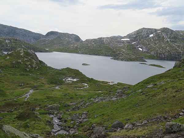 Image description