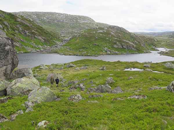Image description