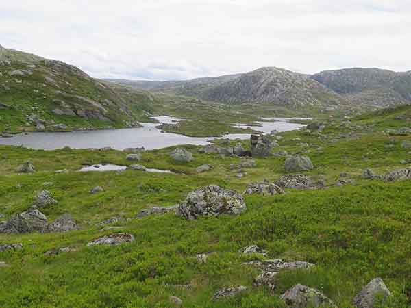 Image description