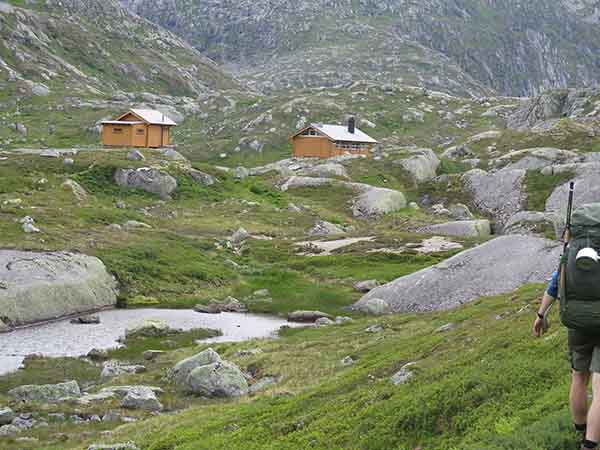 Image description