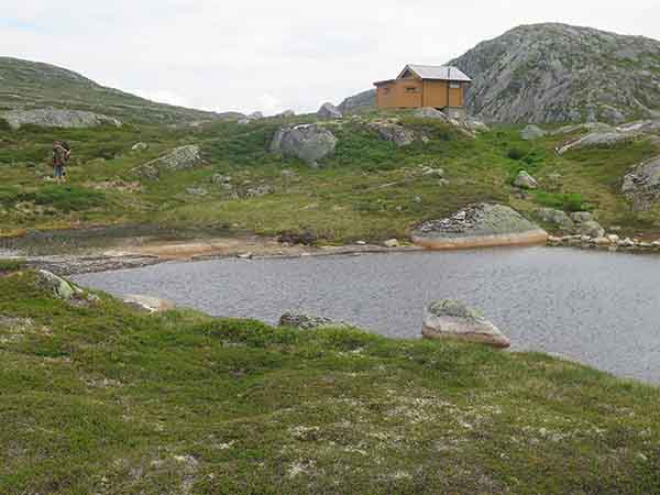 Image description