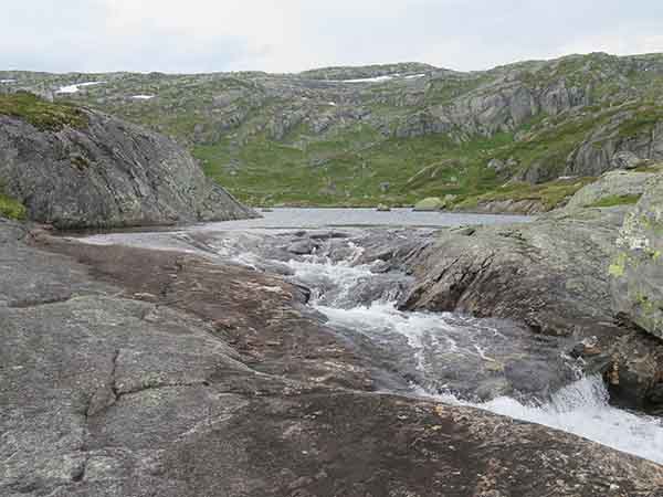 Image description