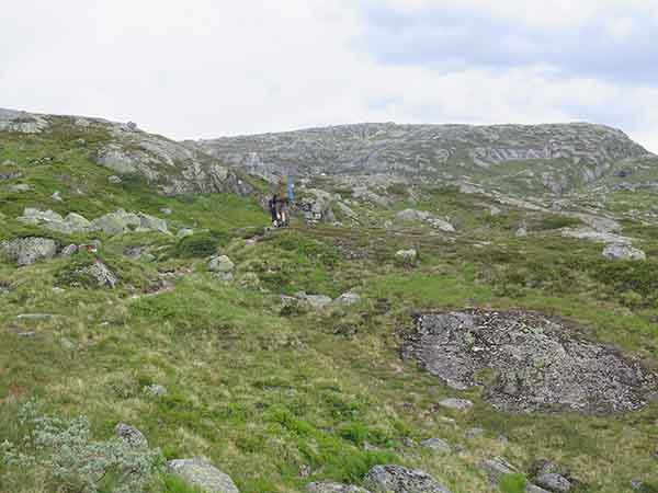 Image description