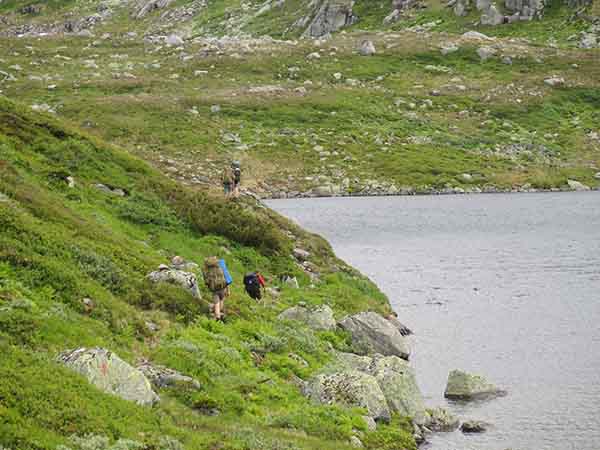 Image description