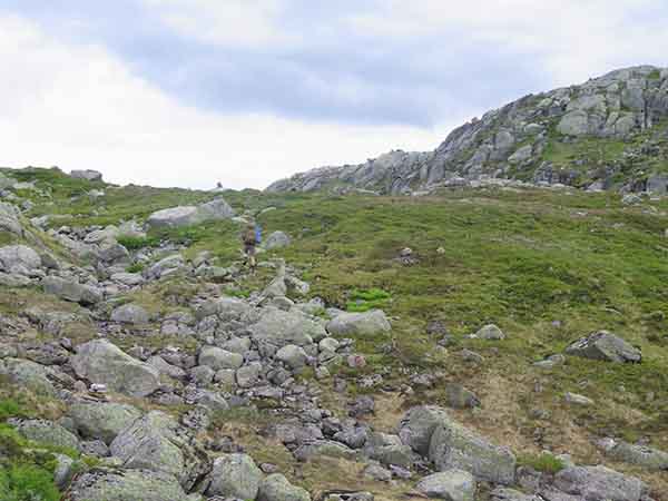 Image description
