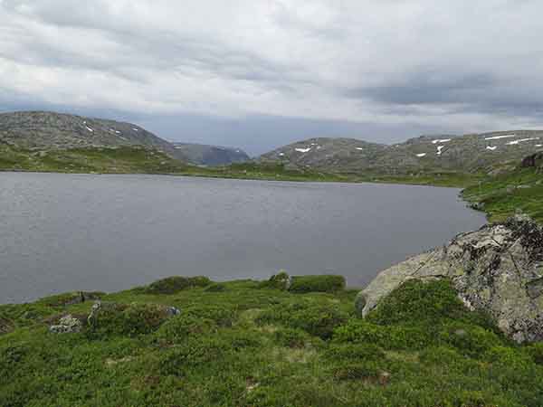 Image description