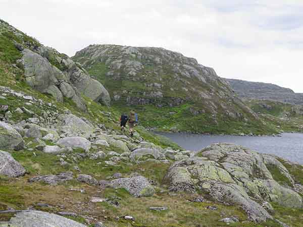Image description