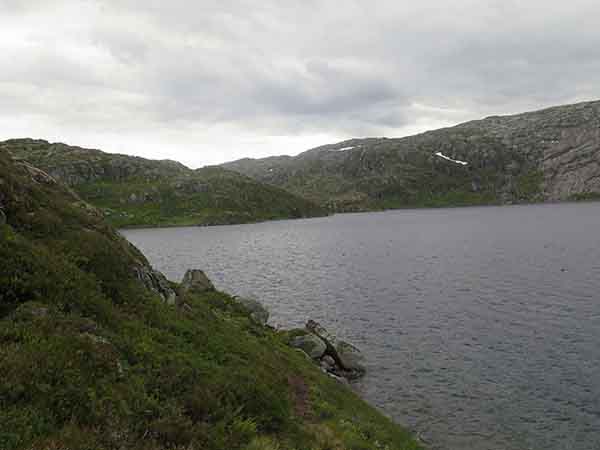 Image description