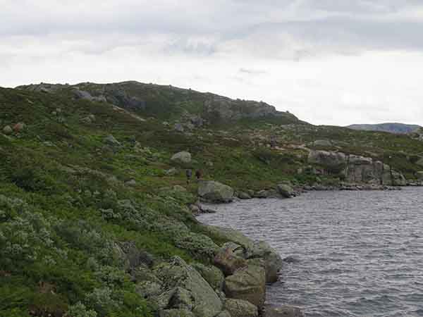 Image description