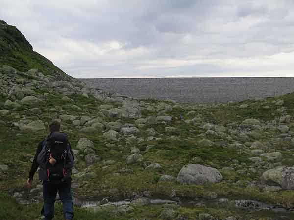 Image description