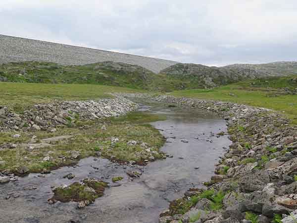 Image description